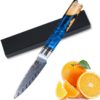 3.5 Inch Fukep Paring Knife